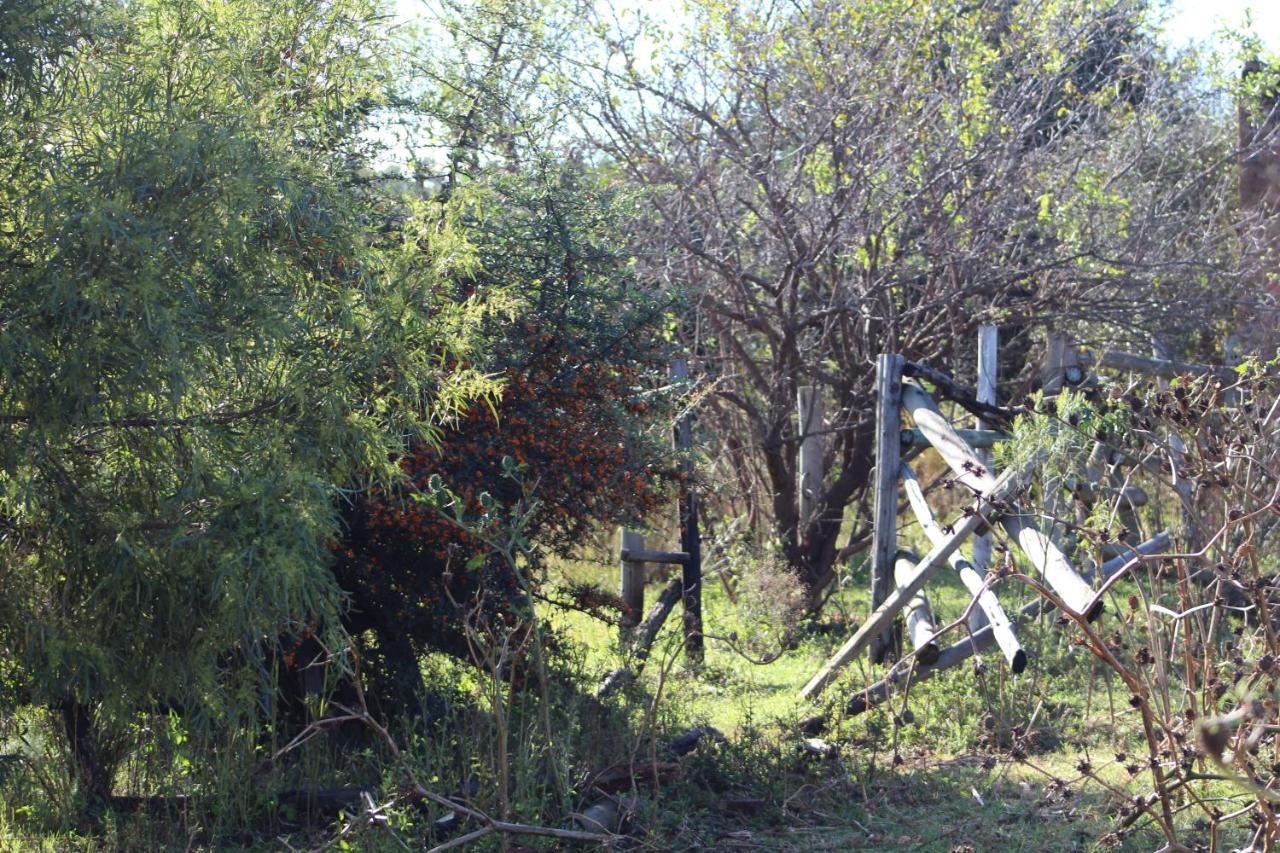 Matlapa Lodge Magaliesburg Exterior foto